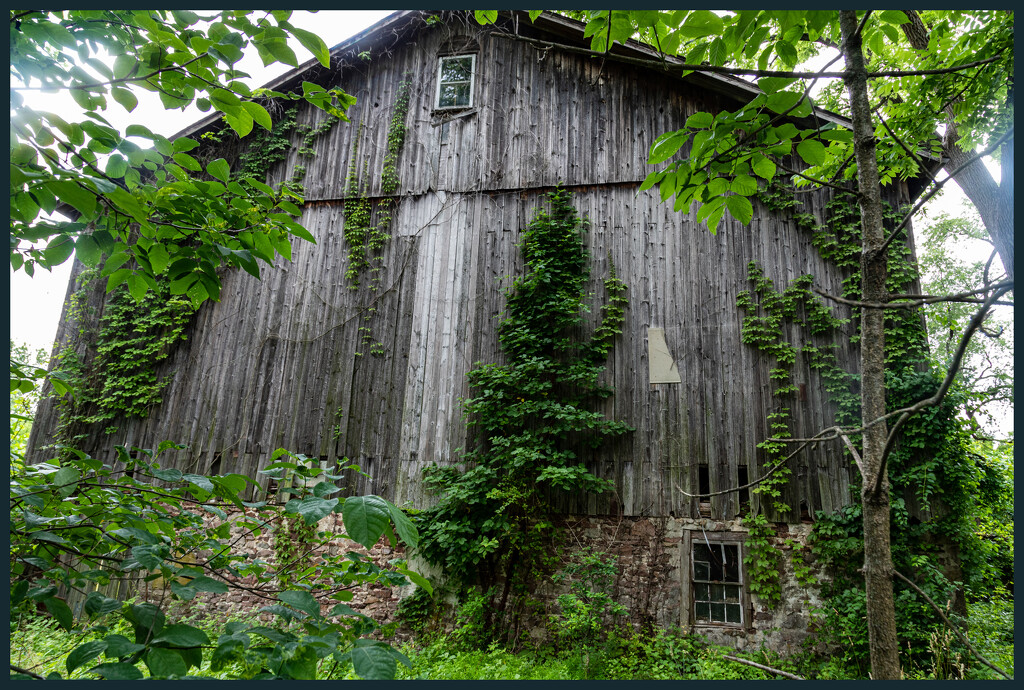 Old Barn in the Woods by hjbenson