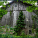 Old Barn in the Woods