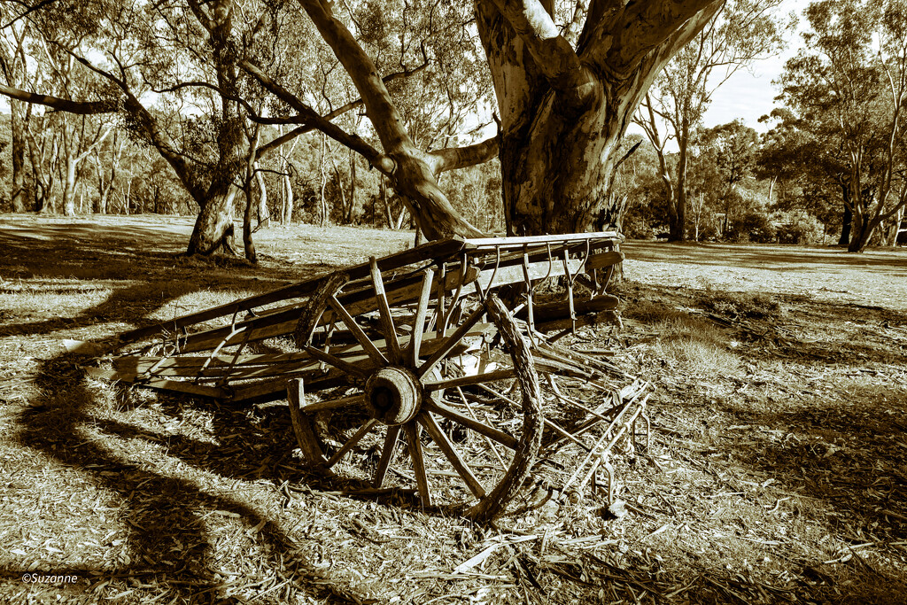 Old dray, Heathcote Victoria by ankers70