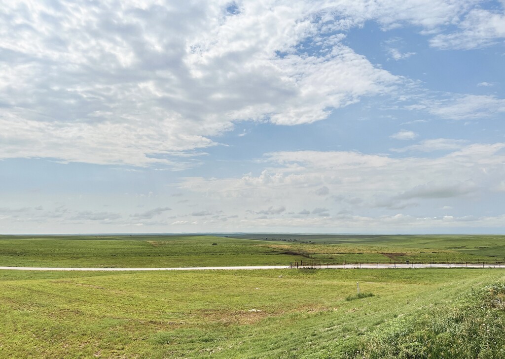 Tallgrass Prairie  by 2022julieg