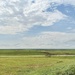 Tallgrass Prairie  by 2022julieg