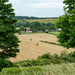 Hay harvesting...... by susie1205