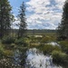 Beaver Pond by sunnygreenwood