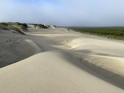 23rd Jun 2022 - Dunes