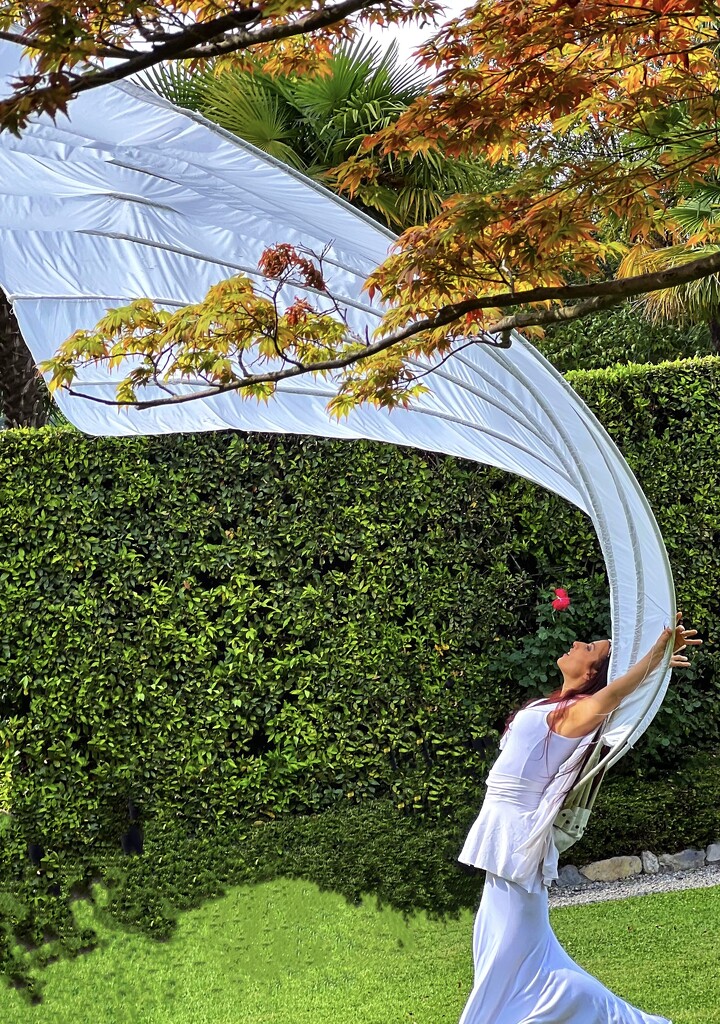 Angel Wings 2, Como by rensala