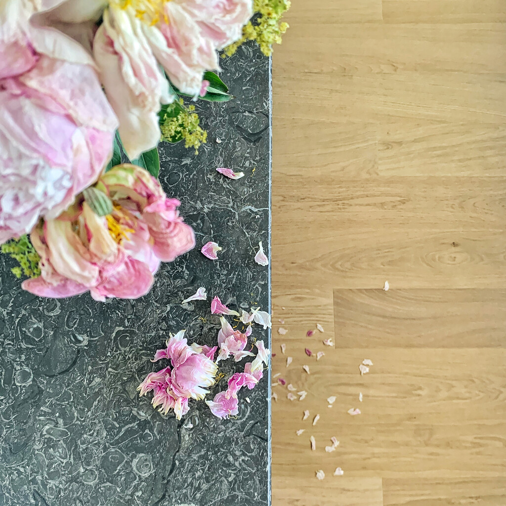 The end of my  peonies.  by cocobella