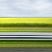 24th Jun 2022 - A yellow roadside on the Afsluitdijk