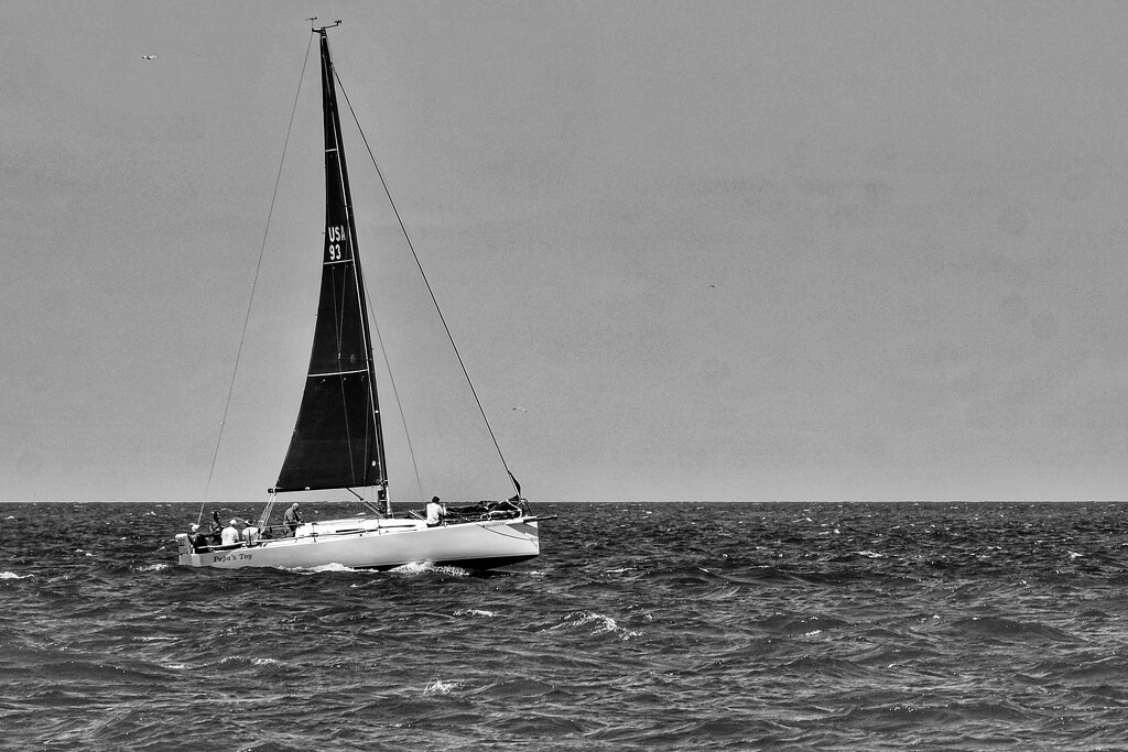 Sailing… takes me away… by lsquared