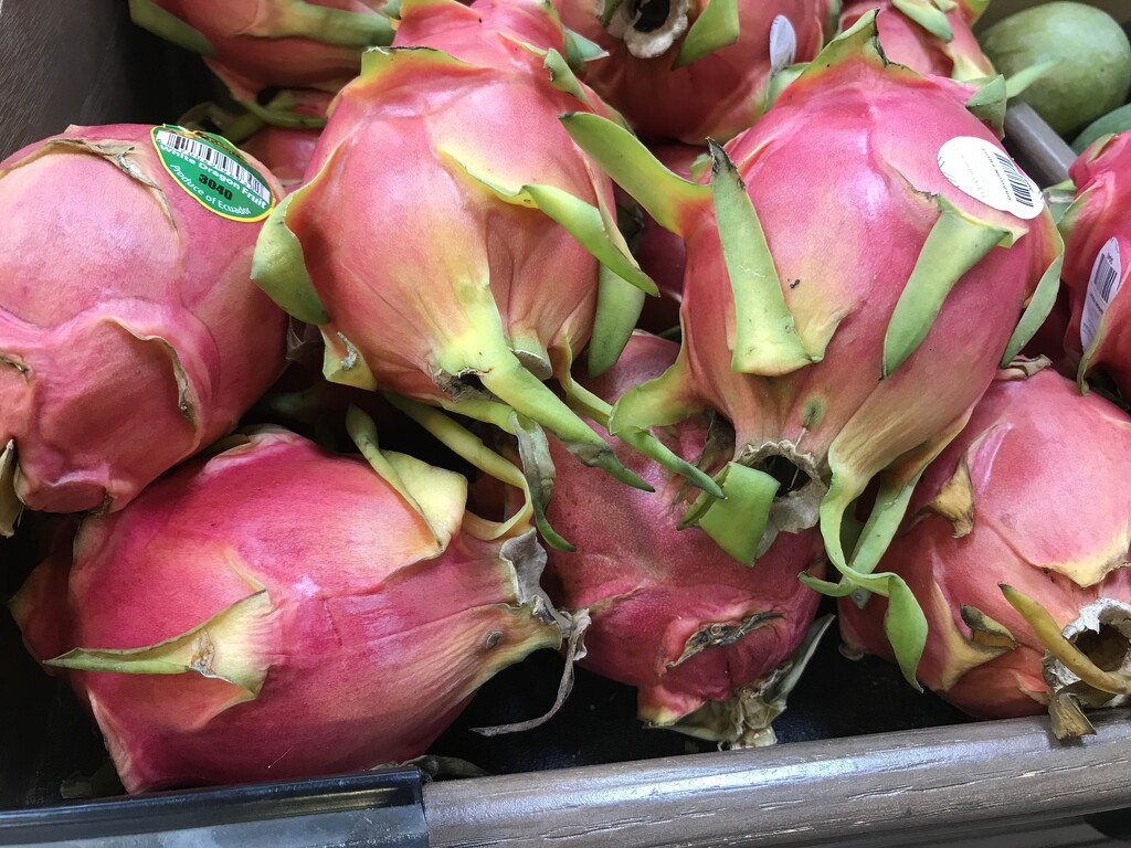 Dragon Fruit on Display by allie912