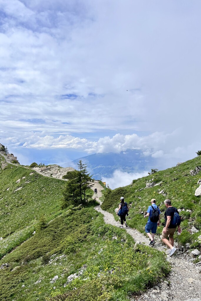 Hiking the Swiss Ridge by kwind
