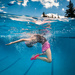 Flips in the Pool by tina_mac