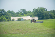 23rd Jun 2022 - Cutting hay...