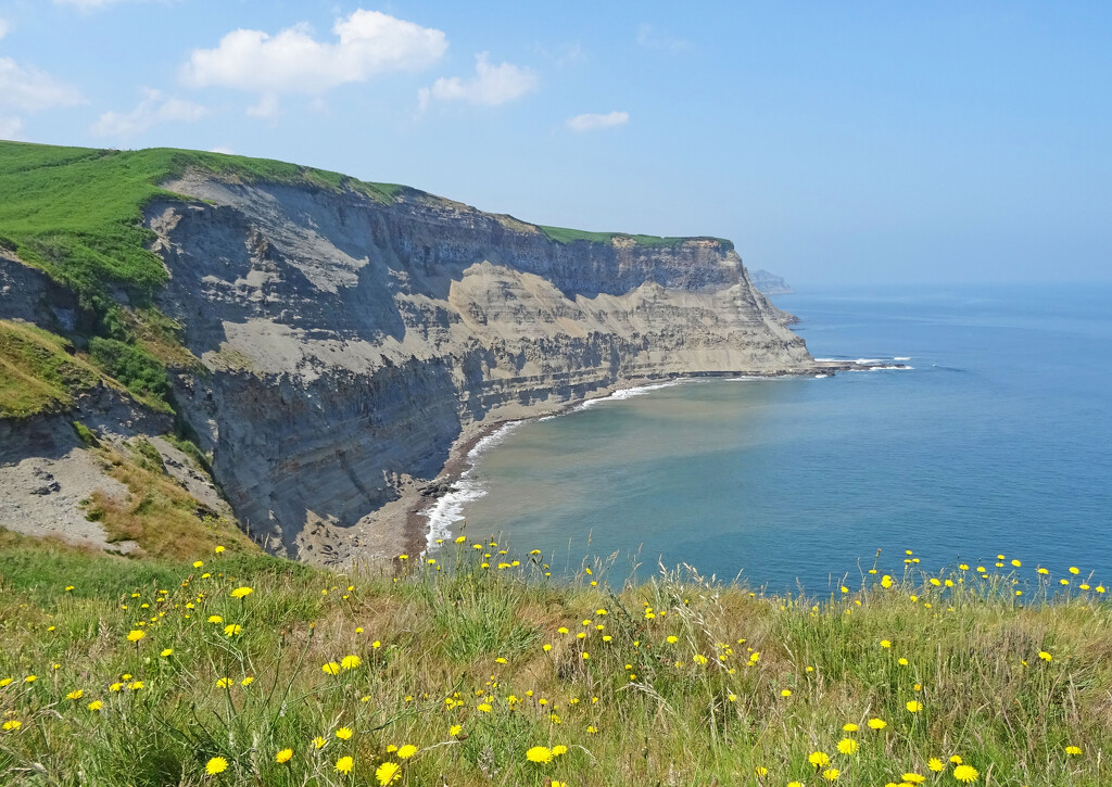 On the beautiful coastal path from Robin Hood's Bay to Whitby by marianj
