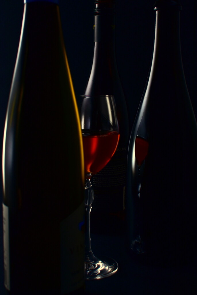 Wine among the bottles by jayberg
