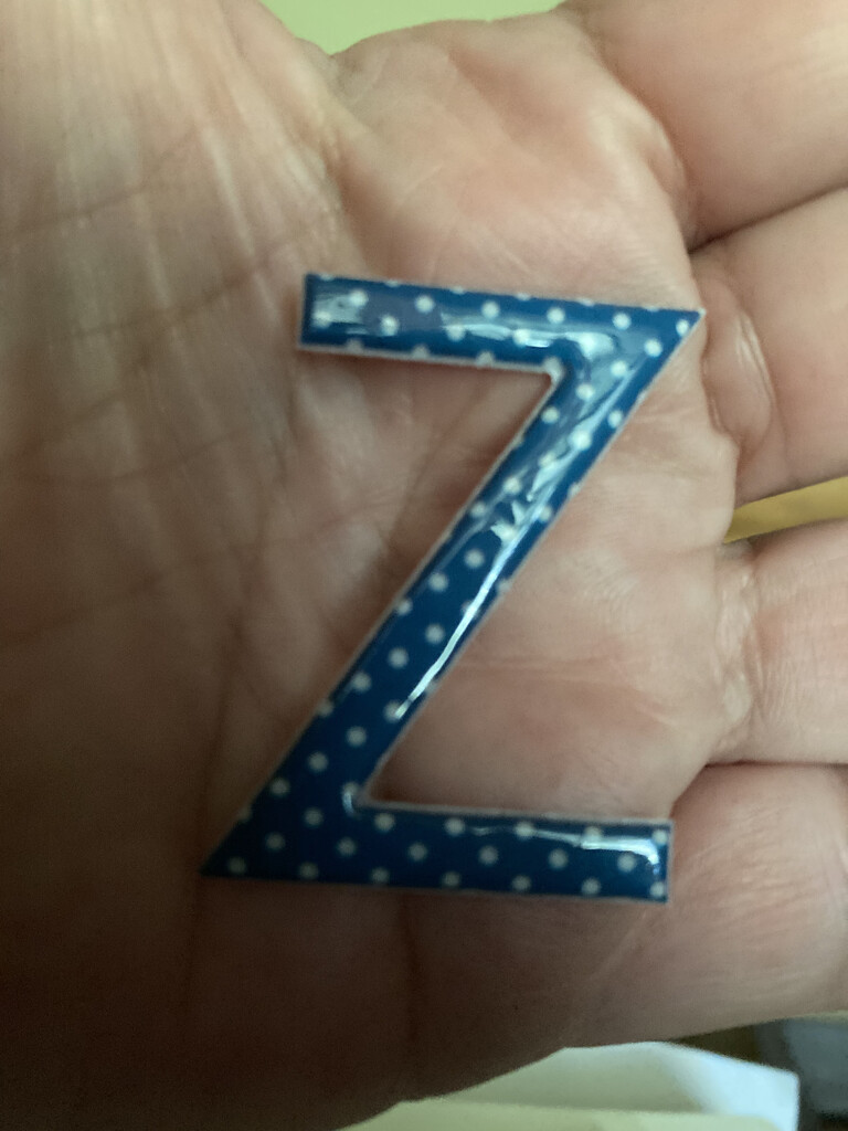 Z #8: From My Scrapbook Stash  by spanishliz