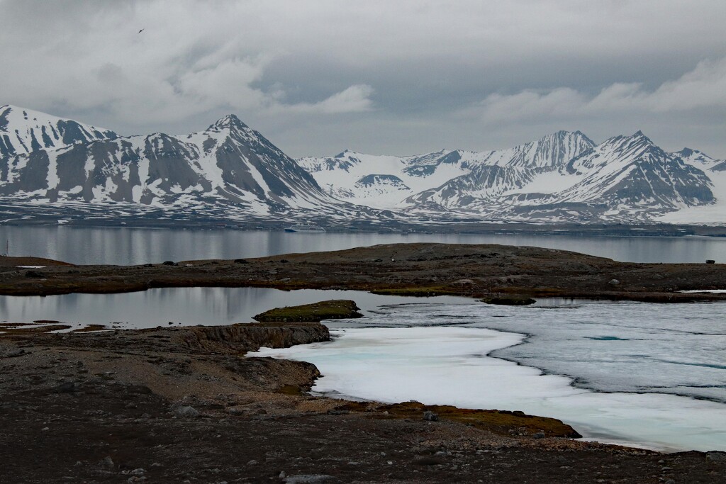 Just the view. The coast of Spitsbergen, Svalbard by 365jgh