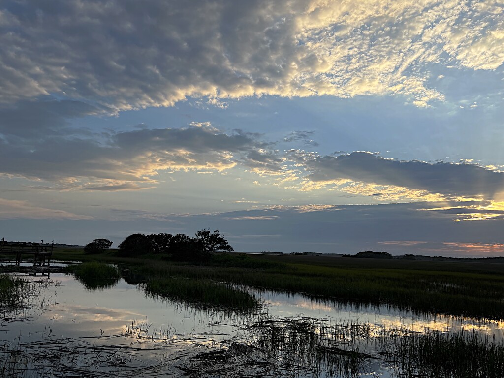Marsh skies by congaree