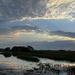 Marsh skies by congaree