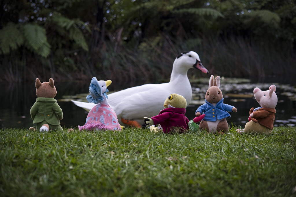 Jemima and friends visit the duck pond ... by dkbarnett