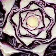 26th Jun 2022 - Red cabbage