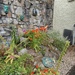Garden wall.....