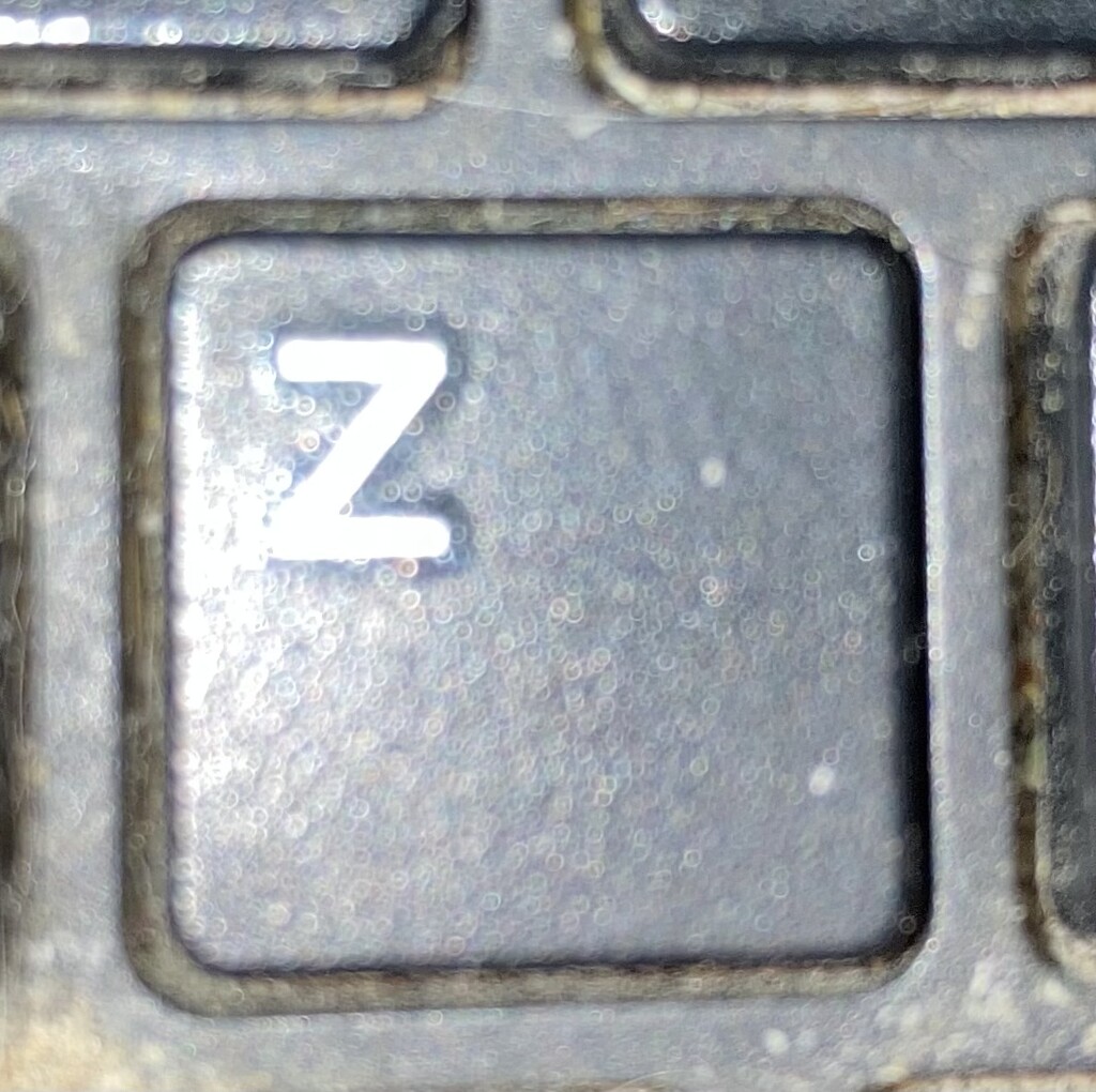 Z #9:  Keyboard  by spanishliz