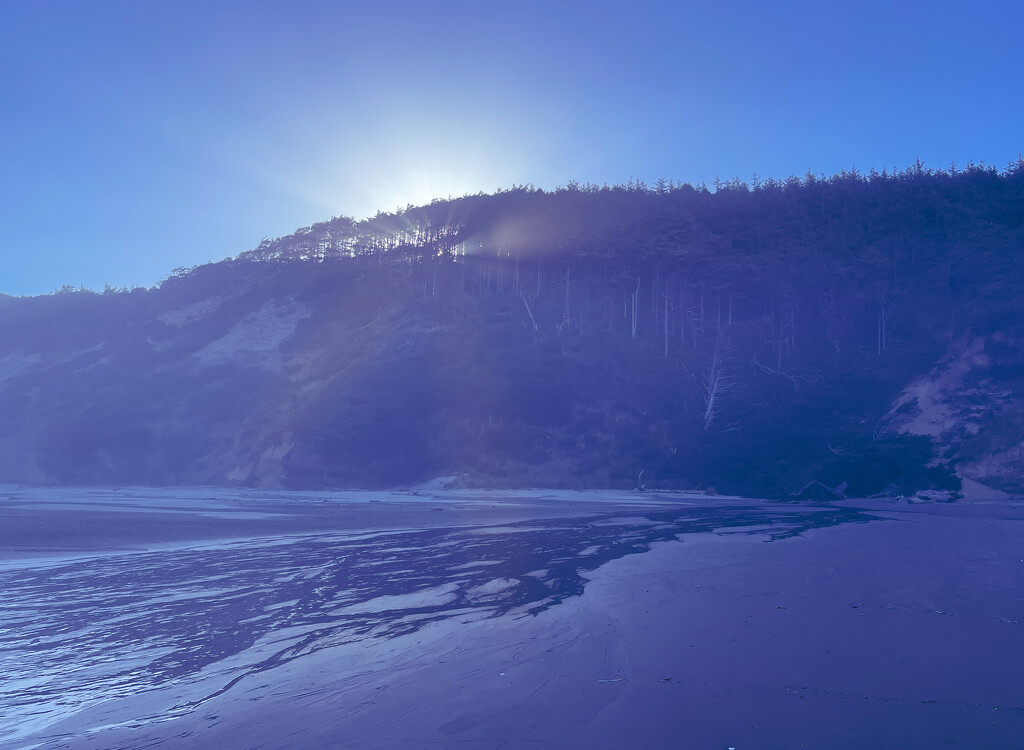 Rays on the beach by jgpittenger