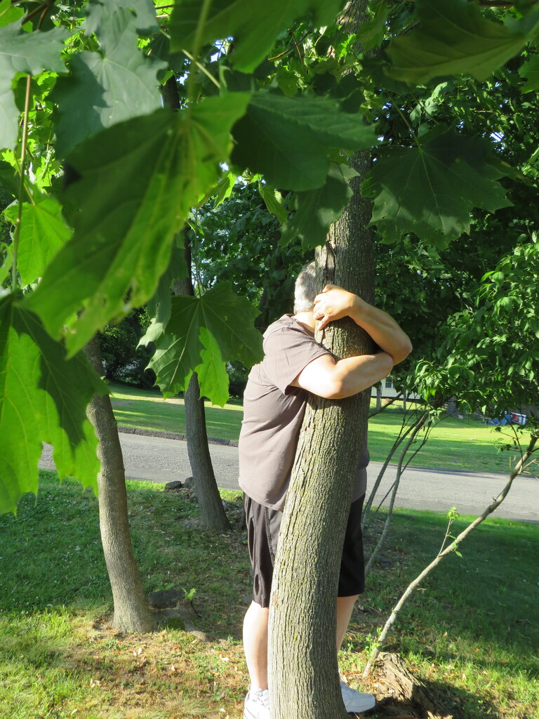 Tree Hugging  by jo38