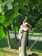 26th Jun 2022 - Tree Hugging 