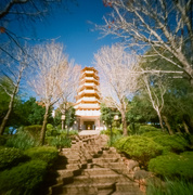 27th Jun 2022 - Pagoda