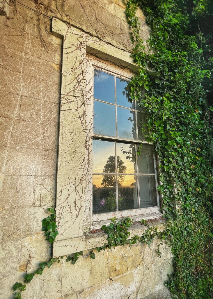 Mullioned Window 2 by moonbi