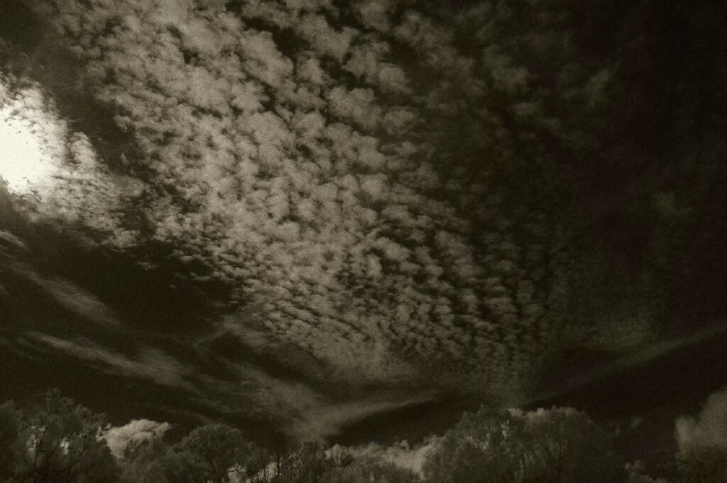 A strange skyscape  by robz