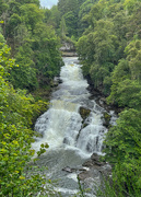 27th Jun 2022 - Falls of Clyde