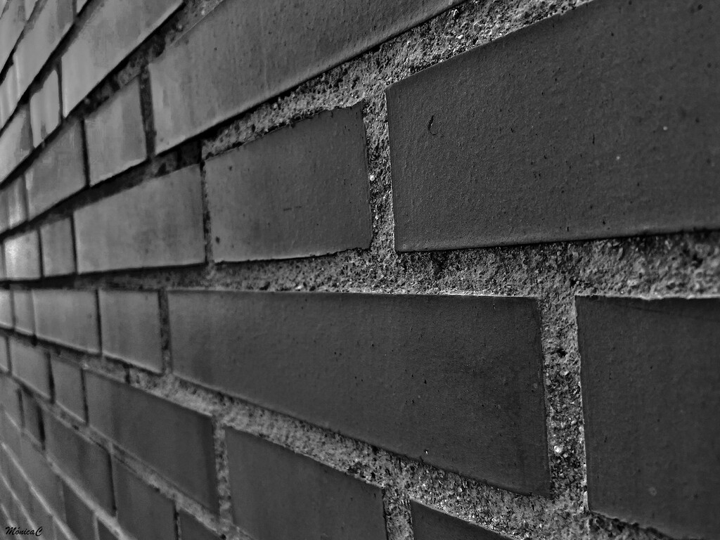 Bricks by monicac