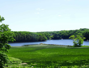 28th Jun 2022 - Saco River from Laurel Hill Cemetery