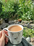 26th Jun 2022 - A cup of tea by the pond