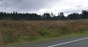 28th Jun 2022 - Another 40a gets clear cut