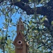 Church Birdhouse  by dkellogg