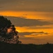 Sunset  by dkellogg