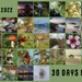 30 Days Wild 2022 by yorkshirekiwi
