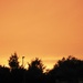 Orange Sky by oldjosh