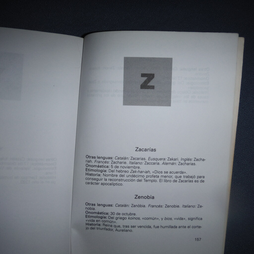 Z #13: In a Name Book by spanishliz