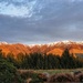 Mount Peel. South Island New Zealand.