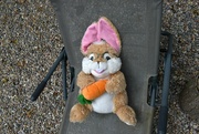 30th Jun 2022 - Just a quick pic of our favourite toy rabbit today!