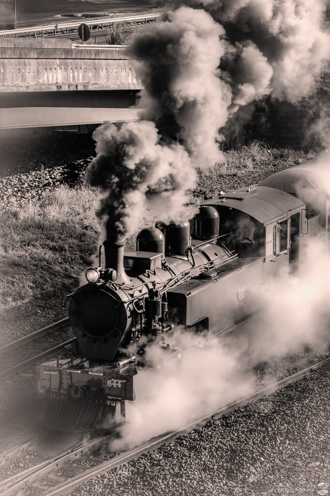Arrival of the Steam Train by yorkshirekiwi