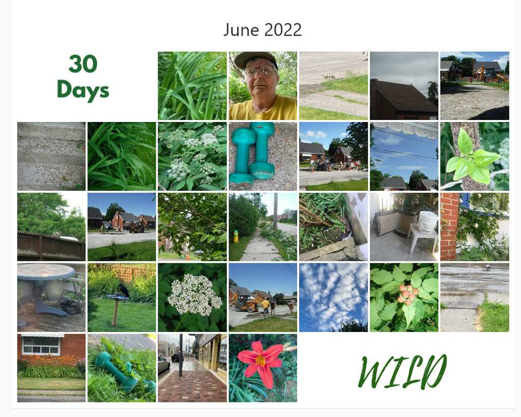30 Days Wild 2022 by spanishliz