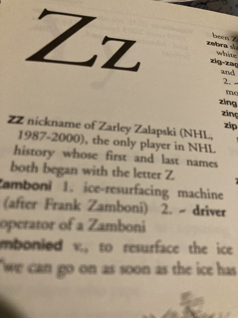 Z #14:  In My Hockey Dictionary  by spanishliz