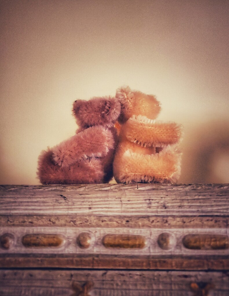 little bears by edorreandresen