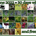 30DaysWild2022 by koalagardens
