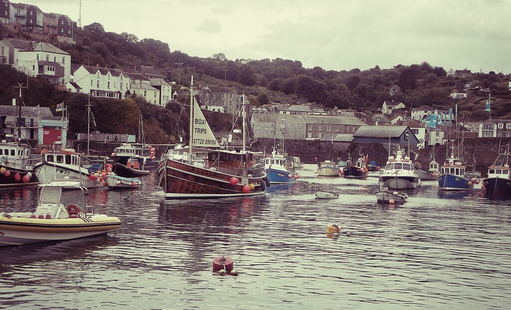 Mevagissey harbour by cutekitty